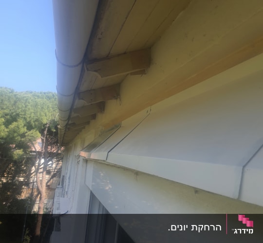 מרזב מותקן על גג בניין למניעת כניסת יונים